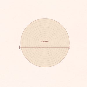 Bindu graphic